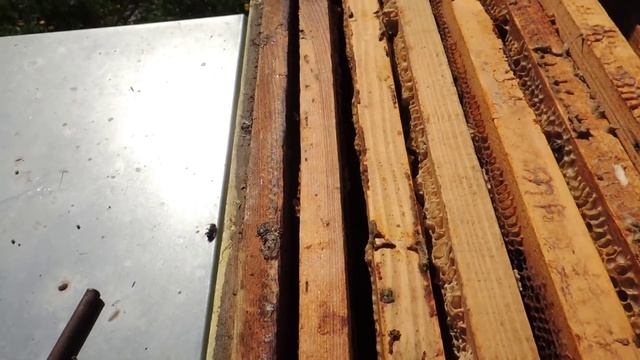 Ставить вторые корпуса или нет? Сила семей. смотреть онлайн