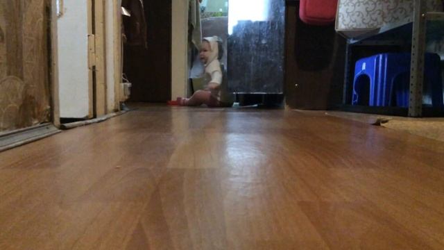 Агатик - человек прямоходящий или последние дни четвероногих. 8 месяцев. смотреть онлайн