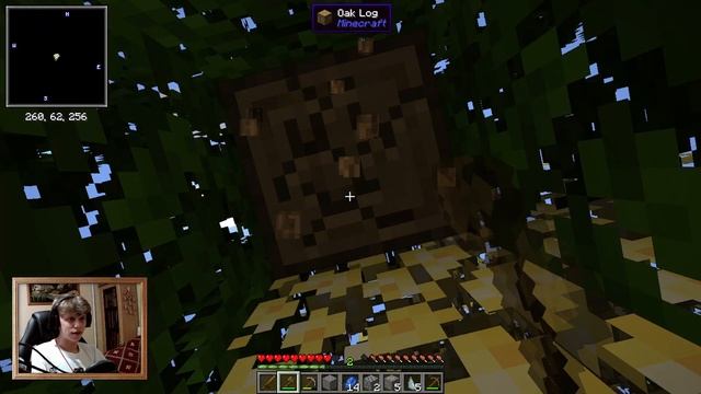 РАЗВИТИЕ ИЗ ОДНОГО БЛОКА В СБОРКЕ ALL IN ONE [MODDED ONE BLOCK] #1 смотреть онлайн