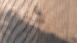 Самодельный глубокорыхлитель МТЗ-892