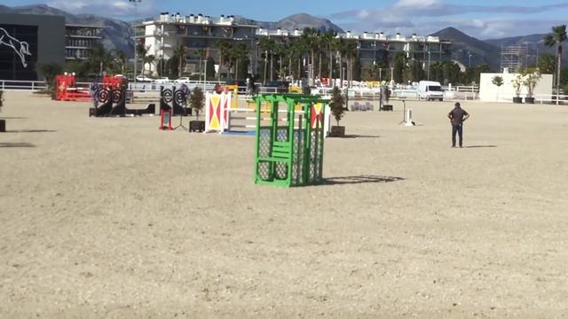 Grace C (Cornet Obolensky X Vingino) 5 years old PLACED Oliva Nova смотреть онлайн