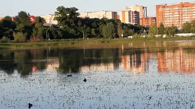 Уфа,парк Кашкадан,12.07.2017 смотреть онлайн