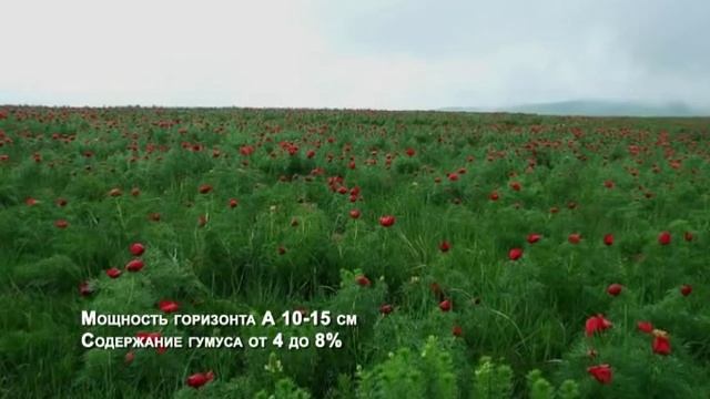 ПОЧВЫ СТАВРОПОЛЬСКОГО КРАЯ смотреть онлайн