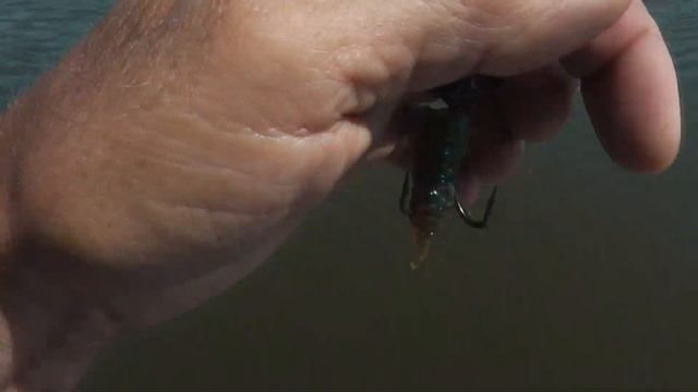 р.КОЧЕТЫ судачки жара DJI Mini2