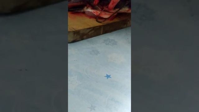 Мы будем есть сома смотреть онлайн