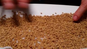 Пажитник и что мы с ним делаем Канада.