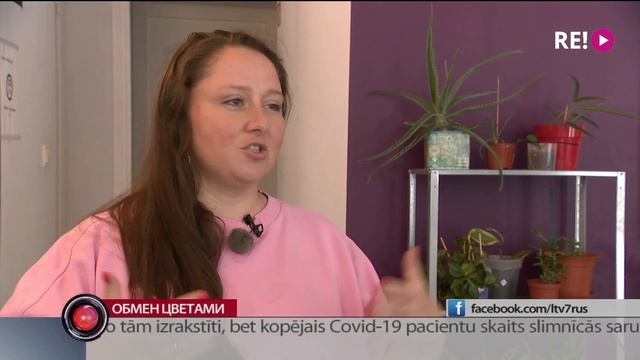 Обмен цветами смотреть онлайн