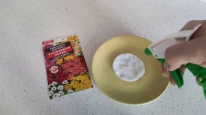 Посев семян хризантемы корейской. Подготовка семян