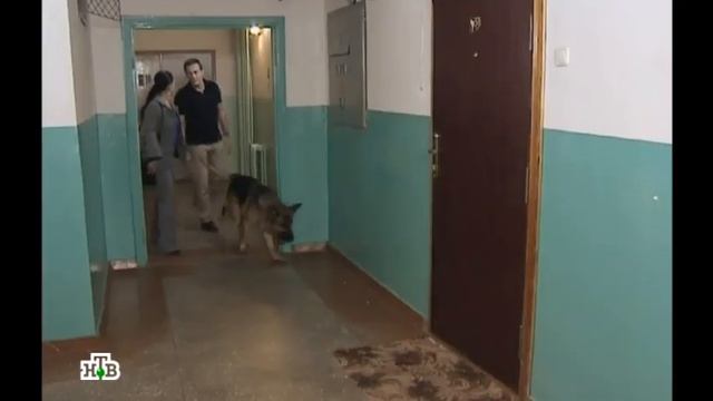 Возвращение Мухтара 2. Черепаховая заколка смотреть онлайн