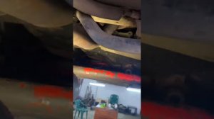 Установка трассы stinger 4-2-1 , субару саунд на 51 й трубе на ваз 2115