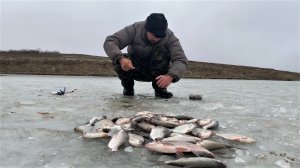 ВОТ ЭТО ЖОР МИРНОЙ РЫБЫ! ПЕРВЫЙ ЛЁД! Астрахань, сезон 2023-2024.