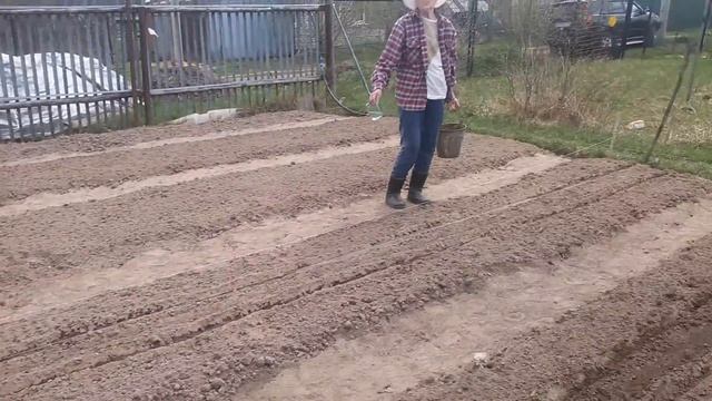 Сажаем морковь, подготавливаем землю. смотреть онлайн