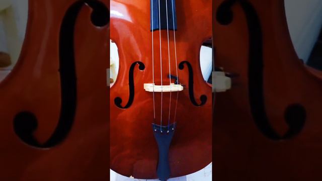 Biggest String Instrument #short смотреть онлайн