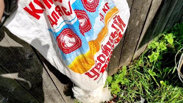 Петух всех достал и отправился в суп.