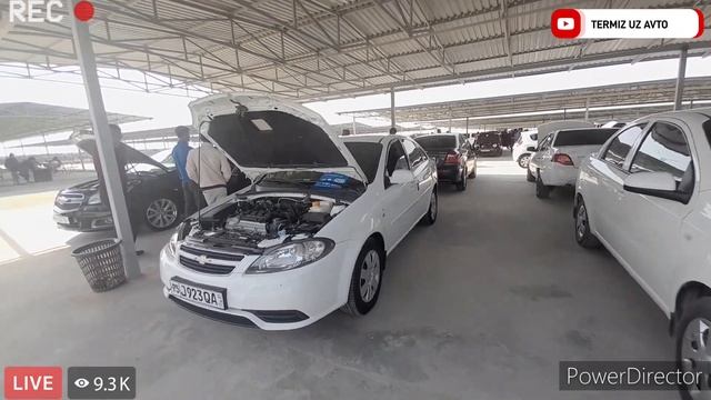 termiz moshin bozori kobult jentira naxt bank orqali xam bòladi yangi narxlari 29.10.2023yil смотреть онлайн