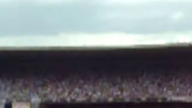 MINEIRÃO DOMINGO A TARDE (VINICIUS ) смотреть онлайн