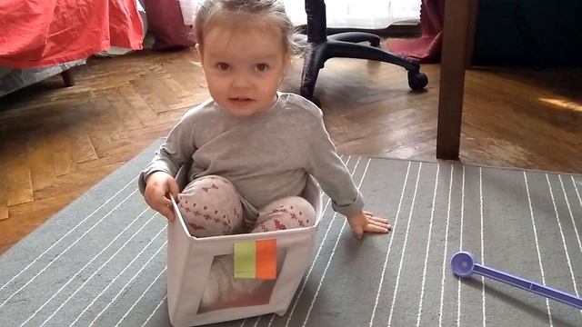 Коробка. Лиса играет. Любимая игрушка. Игра с коробкой. смотреть онлайн