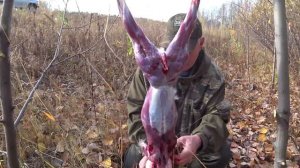 Заяц, разделка. Как снять шкурку с зайца на сдачу 1-ый сорт.