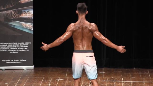 Karel Horna, NABBA/WFF Czech Championships 2018 смотреть онлайн