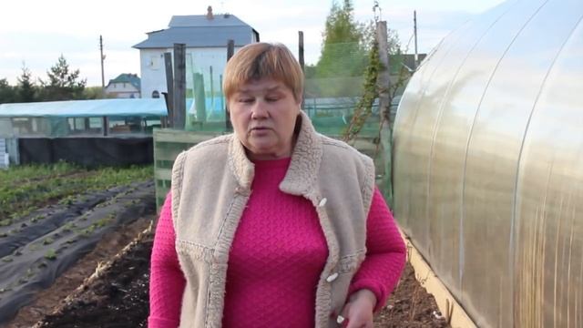 Размножение Клубники. Как Правильно Подготовить Грядку для Клубники. Сорта. смотреть онлайн