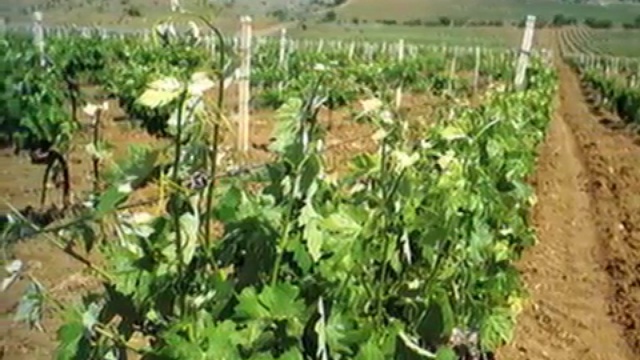 Восстановление крымских земель сапропелевым рекультивантом смотреть онлайн