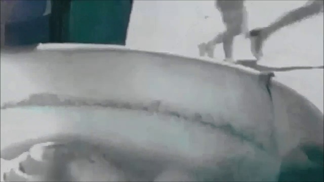 1slot WE ALL DO FOR NEXT смотреть онлайн