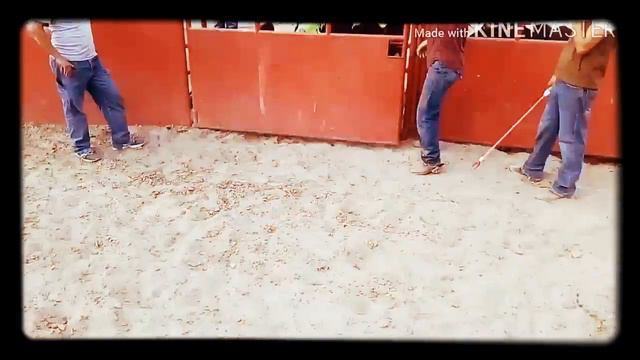 Riky Galindo vs Jacketrx monta toro смотреть онлайн