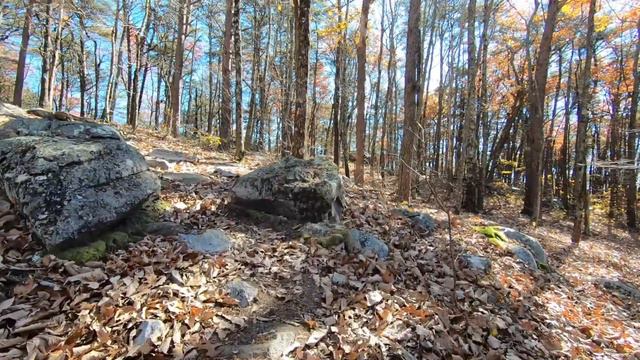 A WEEKEND STAY IN THE "LAST HIGHEST MOUNTAIN CABIN" IN THE APPALACHAINS | ALABAMA смотреть онлайн