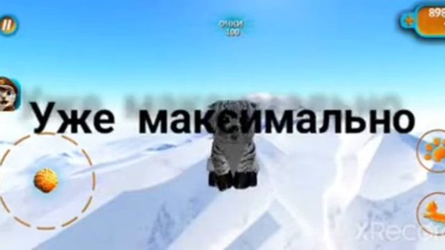 стрёмный баг в Cat simulator смотреть онлайн