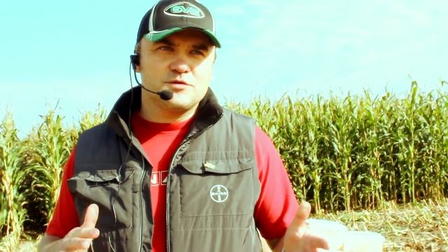 "День поля кукурузы" смотреть онлайн