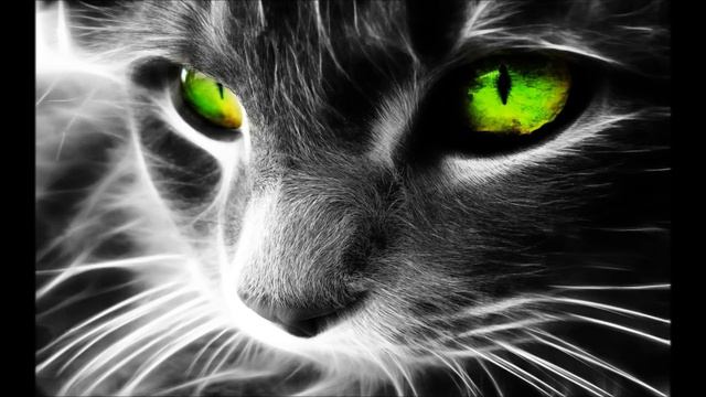 Techno: Mauro Picotto - Komodo