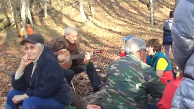 Горячий Ключ Краснодарского края. Прогулка в лес 5 ноября 2017 года смотреть онлайн