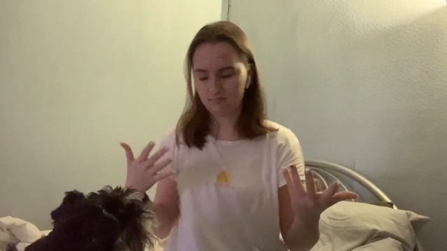 сдаю пробники егэ 2023 смотреть онлайн