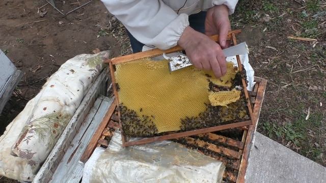 АПРЕЛЬ. ВРЕМЯ СТАВИТЬ ВОЩИНУ. смотреть онлайн