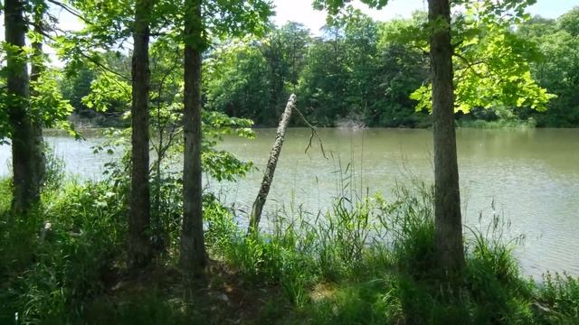 Road Trip Around the US by Motorcycle смотреть онлайн