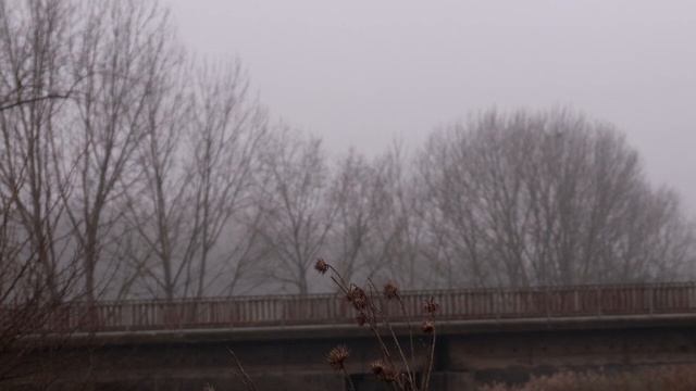 Canon EOS 250D 4K Çekim смотреть онлайн