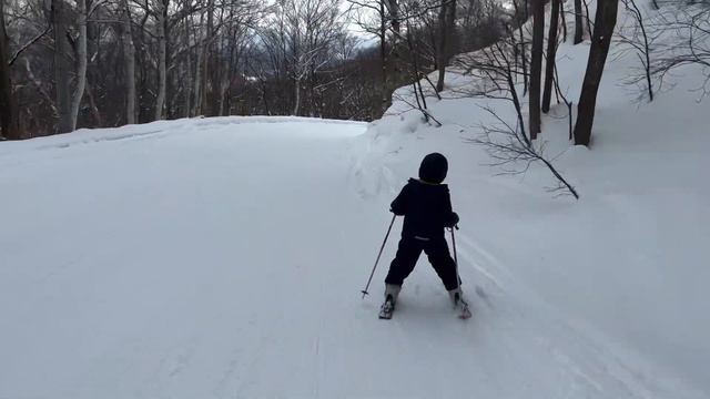 Hokkaido Snow Festival 2023, and Skiing with Kids in Sapporo! смотреть онлайн