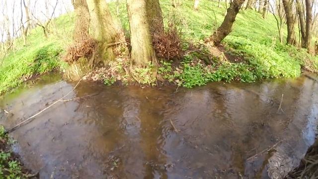 VLOG 25 Пошли в ЛЕС !!! Енакиево))) смотреть онлайн