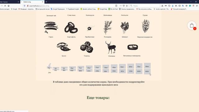 Дизайн и создание сайта каталога кормов для кошек и котов (на Tilda) смотреть онлайн