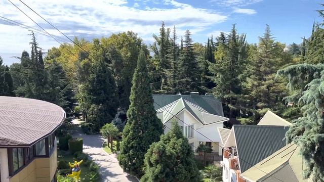 Видеообзор стандарт смотреть онлайн