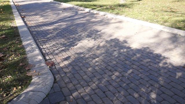 Вдохновляюсь:)) Прогулка по парку смотреть онлайн