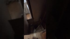 Выпал яйцевод у курицы. Это лечится!