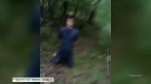 РАБОТАЙТЕ, БРАТЬЯ... Комментарии иностранцев