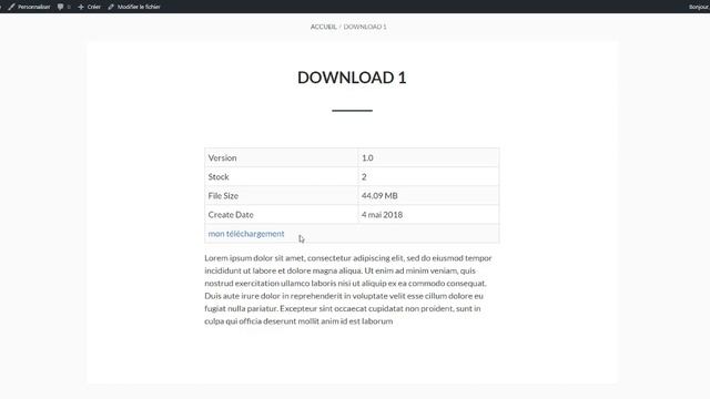 download manager : Le plugin qui gère vos téléchargements sur WordPress de A à Z смотреть онлайн