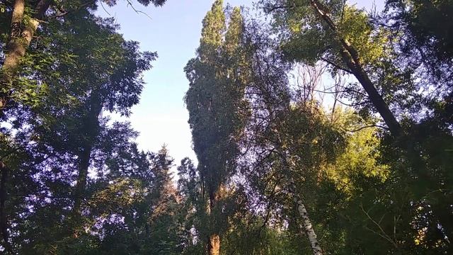 РАСПОЗНАТЬ ЛОЖЬ смотреть онлайн