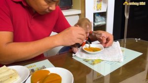 Super Monkey! Bibi play the organ makes dad surprised!