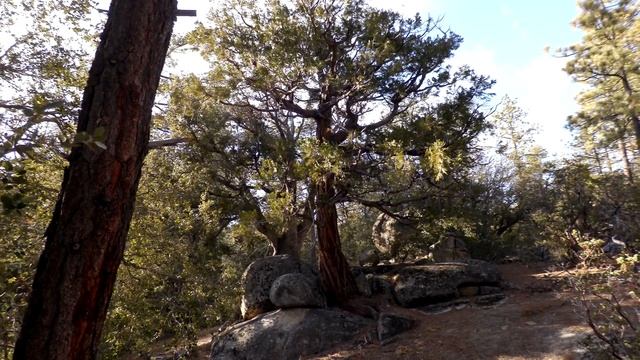 Mountain Hike with the Canon XC10 | Idyllwild California смотреть онлайн