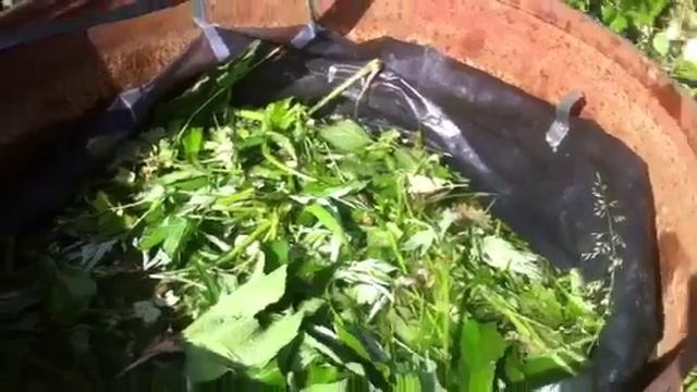 ТопСад. Удобрения из любой бочки! смотреть онлайн