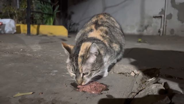 Вечера доброго Вам всем смотреть онлайн