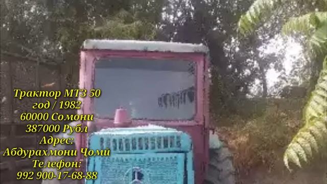 СРОЧНО ТРАКТОР МТЗ 50 " Трактори Фурӯши МТЗ 50 Дар Нохияи Абдурахмони Ҷомӣ #Мега_Бозор смотреть онлайн
